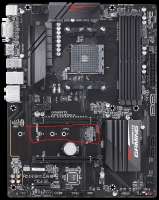 796x1000