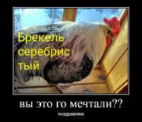 759x654