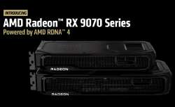 800x493