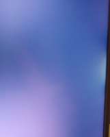 392x485