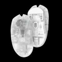 800x800
