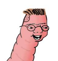 529x557