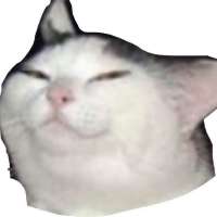 900x900