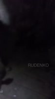 720x1280