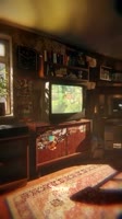270x480