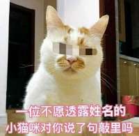 440x429