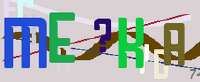 233x96