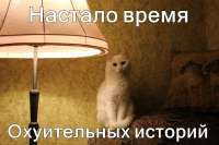 1280x853