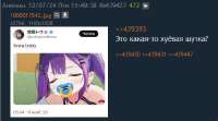 446x249