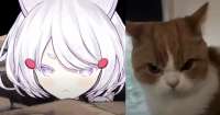 1370x720