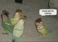 640x466