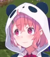 293x331