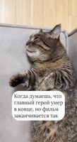 464x848