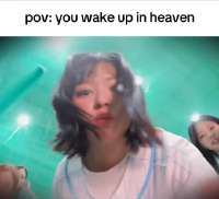 460x419