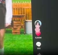 383x370