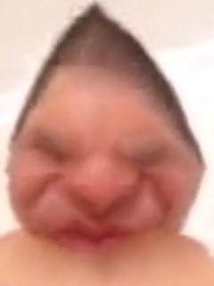 240x320