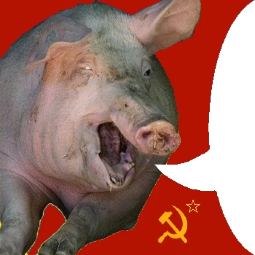 512x512
