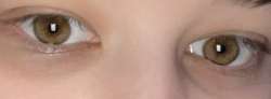 1210x448