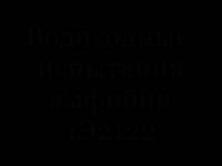 480x360