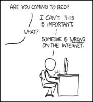 300x330