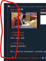 330x437
