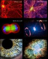 600x734