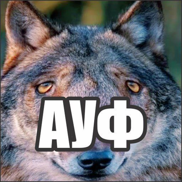 640x640