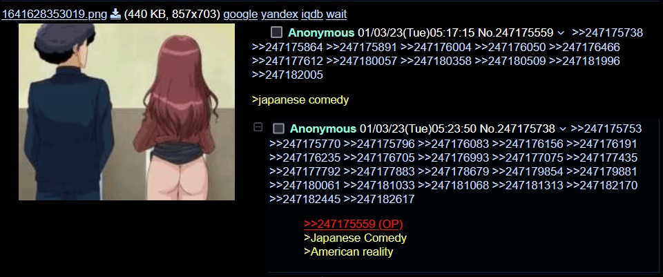960x401