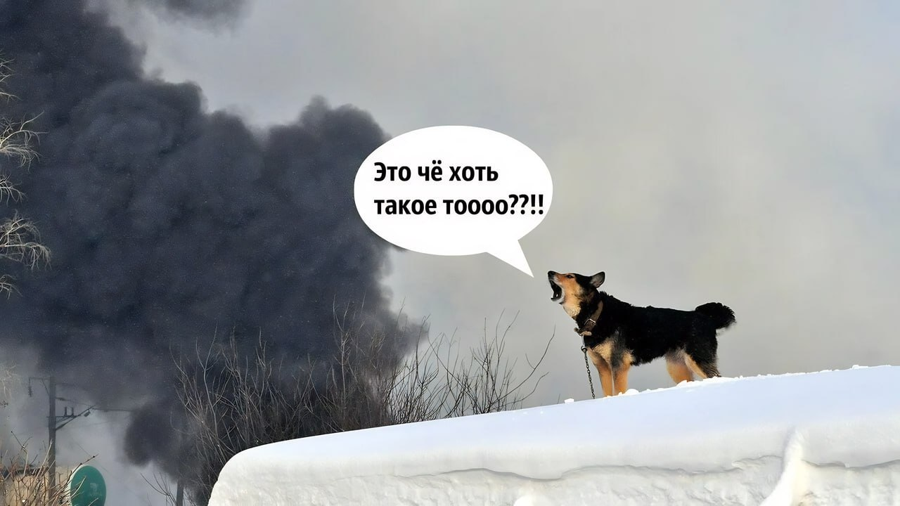 1280x720