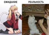 720x511