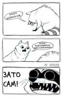 530x811