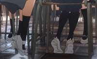 1241x758