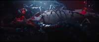 1920x816