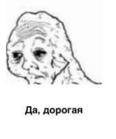 261x310