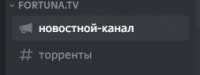 253x96
