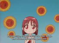 972x720