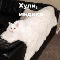 640x640
