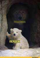 412x599