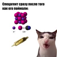 720x720
