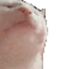 240x240