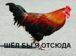 400x300