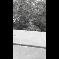 360x360