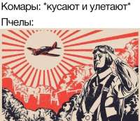 748x648