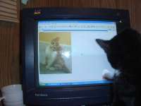 640x480
