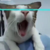 360x360