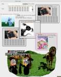 642x807