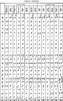 608x977
