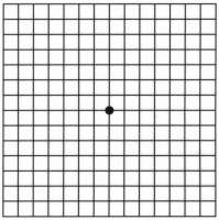 500x502