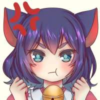 736x736