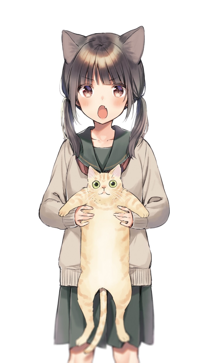 850x1511